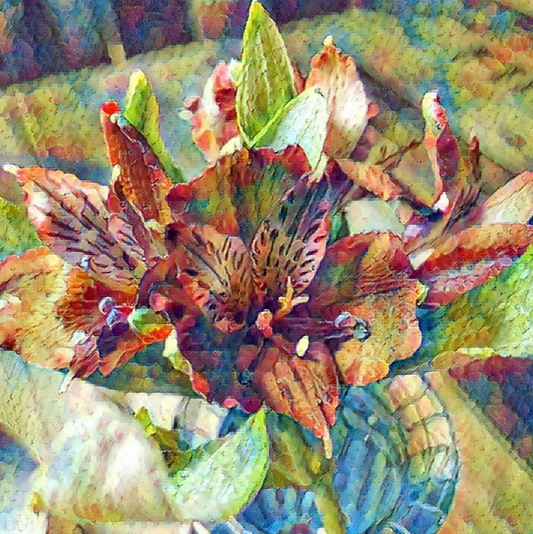 Slick Spies, Outfoxing Slavery and Inspiring Us Today